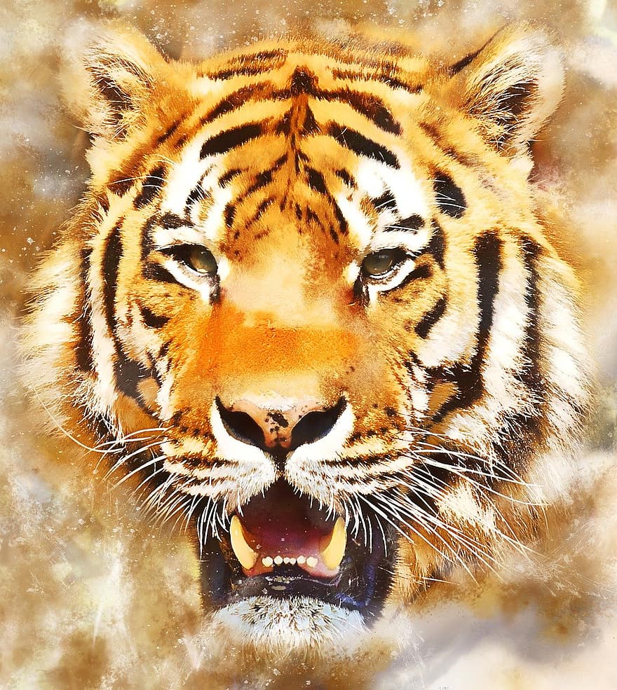 тигър, дива котка, котешки, животински свят, диво животно, животно, бозайник, дивата природа, живопис, творчество, животни в дивата природа