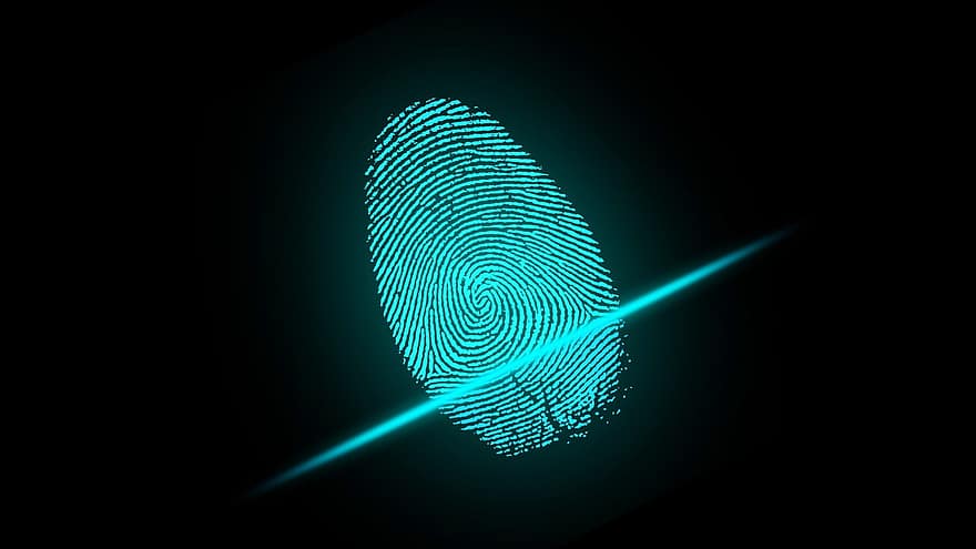 vinger, vingerafdruk, veiligheid, digitaal, identiteit, technologie, gerechtelijk, identificatie, toegang, systeem, gegevens