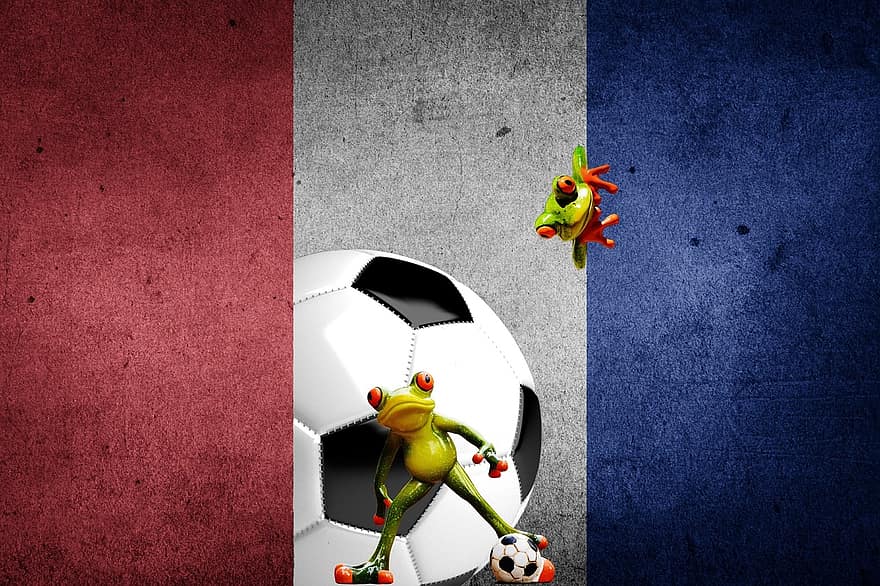 campionato europeo, calcio, 2016, Francia, torneo, concorrenza, sport, giocare, rane, divertente, carina