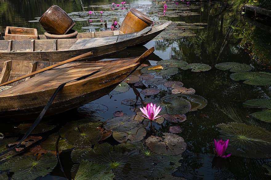 Lilia wodna, kwiat, łodzie, jezioro, rośliny, różowy kwiat, płatki liliowe, rośliny wodne, staw, woda