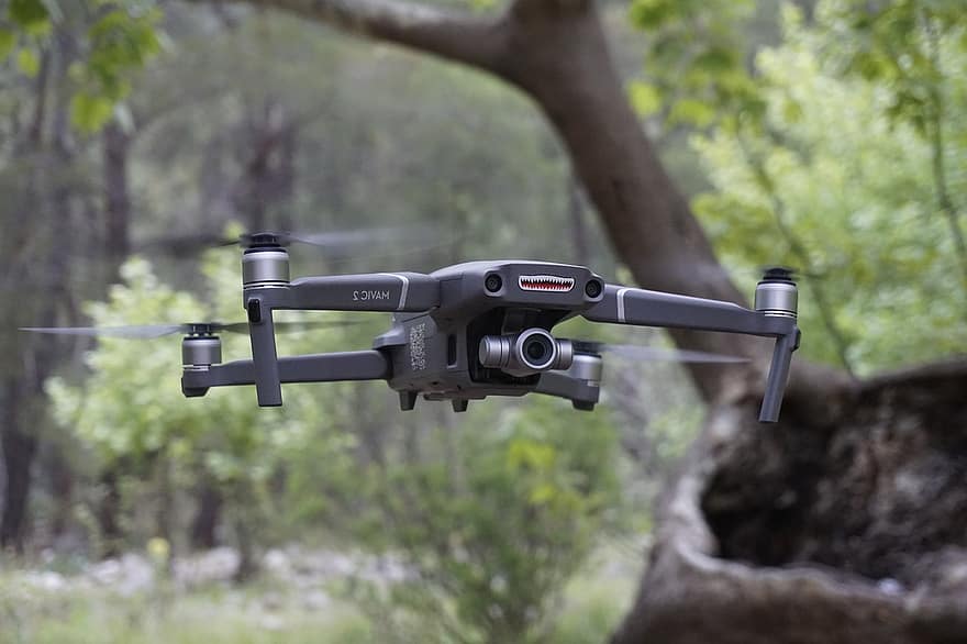 Drohne, Wald, draussen