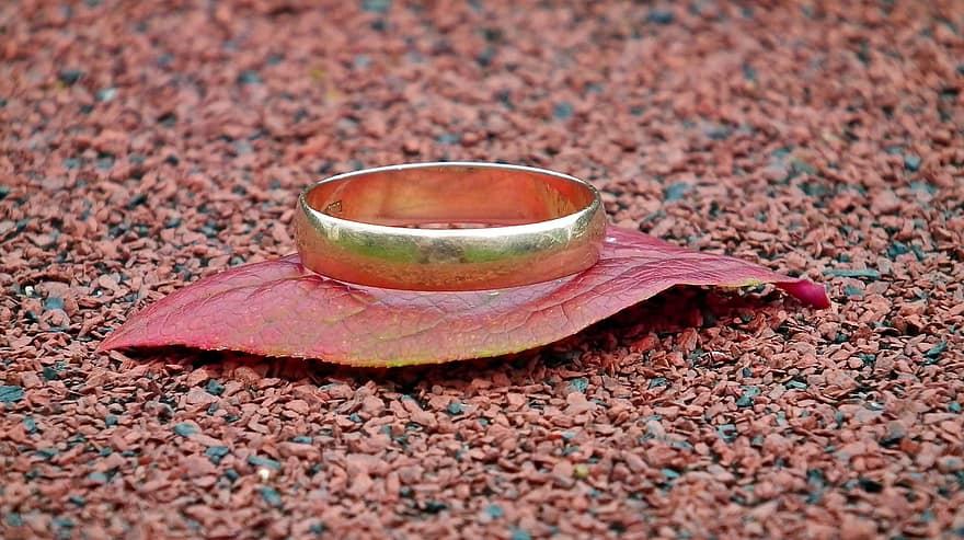 Ring, Leaf, Gold, Wedding, Love, Couple, close-up, backgrounds, single object, metal, yellow
