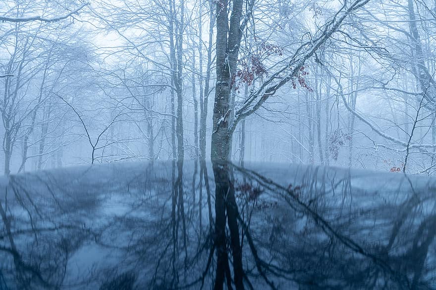 forêt, hiver, les bois, la nature, Kastoria, Grèce, neige, Montagne, brouillard, paysage brumeux, fond d'écran