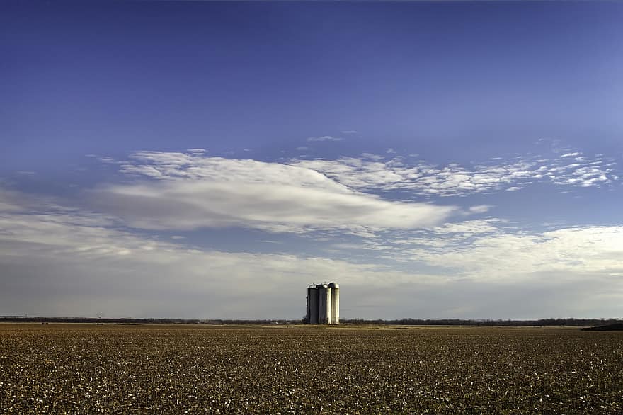 ferme, champ, les silos, agriculture, campagne, rural, ciel, Mississippi