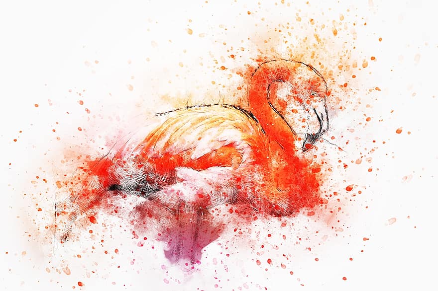 Flamingo, Color, Feathers, Art, Abstract, Watercolor, Animal, Bird, Vintage, Spring, Nature