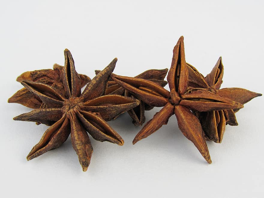 Spice, Star Anise, Seasoning, Ingredient, close-up, food, dry, anise, organic, seed, condiment