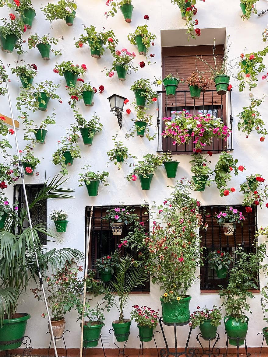 córdoba-werf, Cordoba, Andalusië, patio, bloempot, bloemen, architectuur, venster