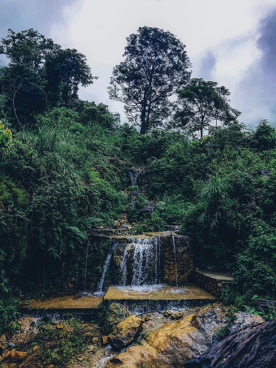 cascada, río, bosque, naturaleza, Nepal