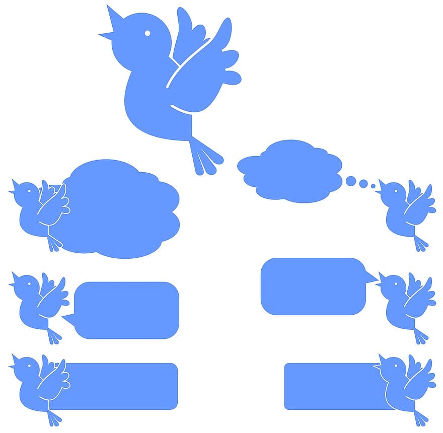 Twitter, fugl, tilhænger, følge efter, tweet, tweeting, leder, at føre, succes, vinde, ledelse