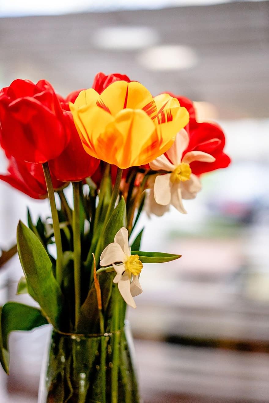 tulipany, kwiaty, bukiet