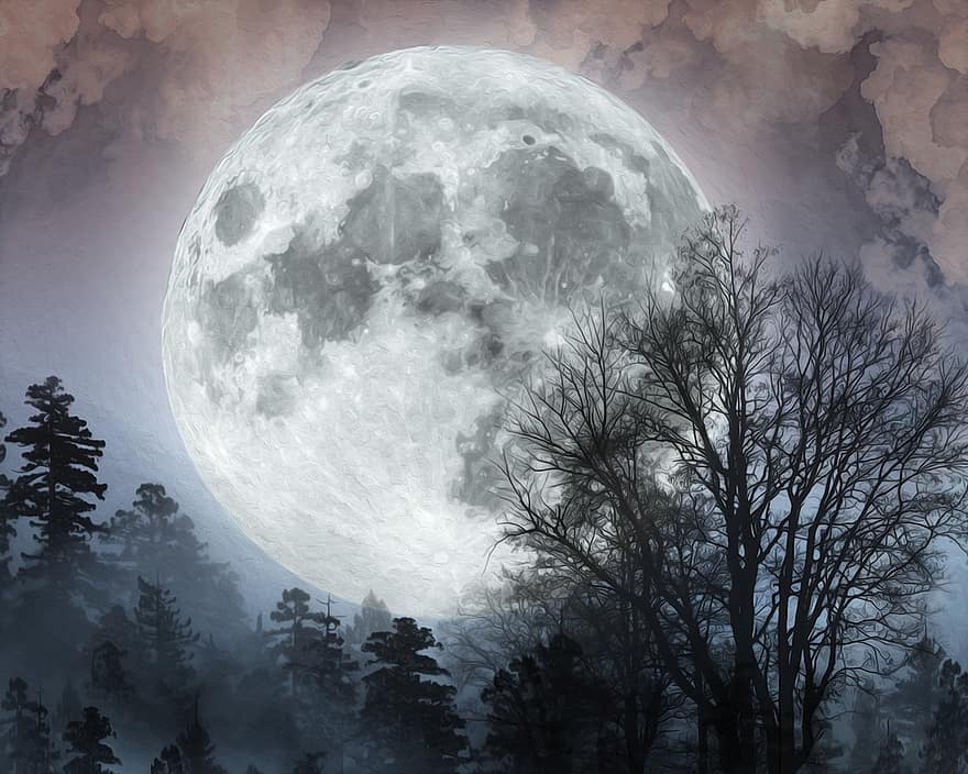 Luna piena, notte, alberi, Luna, foresta, natura, nebbia, boschi, chiaro di luna, silhouette, nebbioso