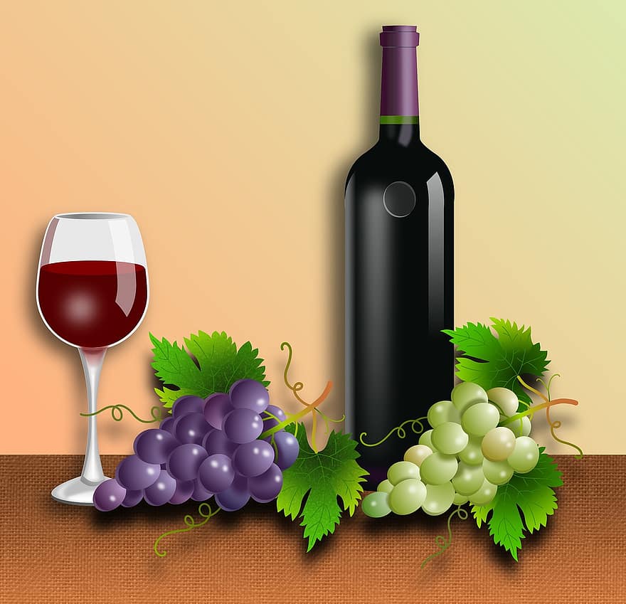 Grapes, Glass, Bottle, Vine, Vineyard, Wine, Plants, Nature, Vegetable, Parras, Drink