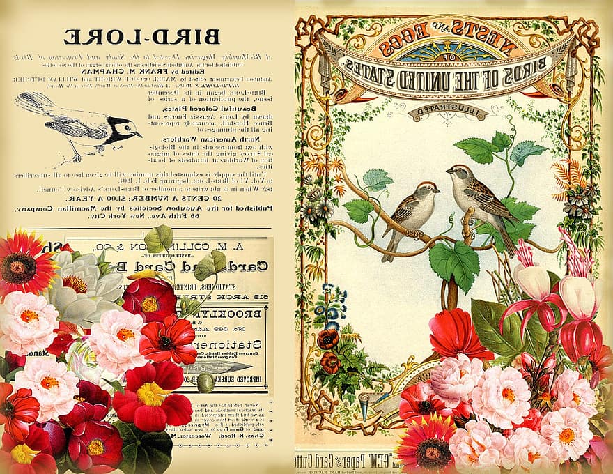 página de recados, vintage, floral, flor, pássaro, livro de pássaros