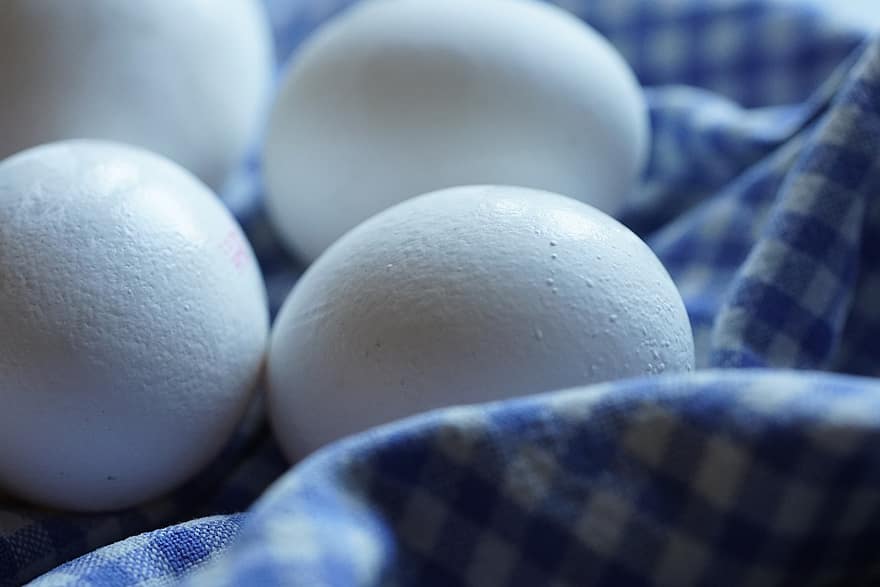 vejce, bílá vejce, jídlo, čerstvý, detail, zvířecí vejce, svěžest, modrý, organický, pozadí, dekorace