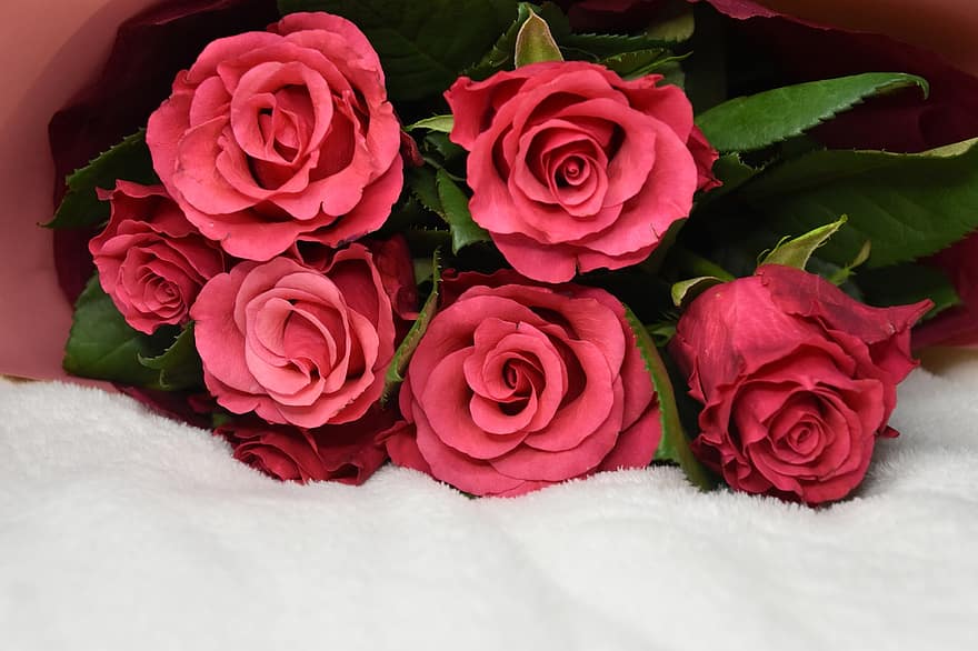 csokor, rózsák, virágok, rózsaszín rózsa, rózsaszín virágok, szeretet, romantikus, virágzás, virágzik, szépség, közelkép