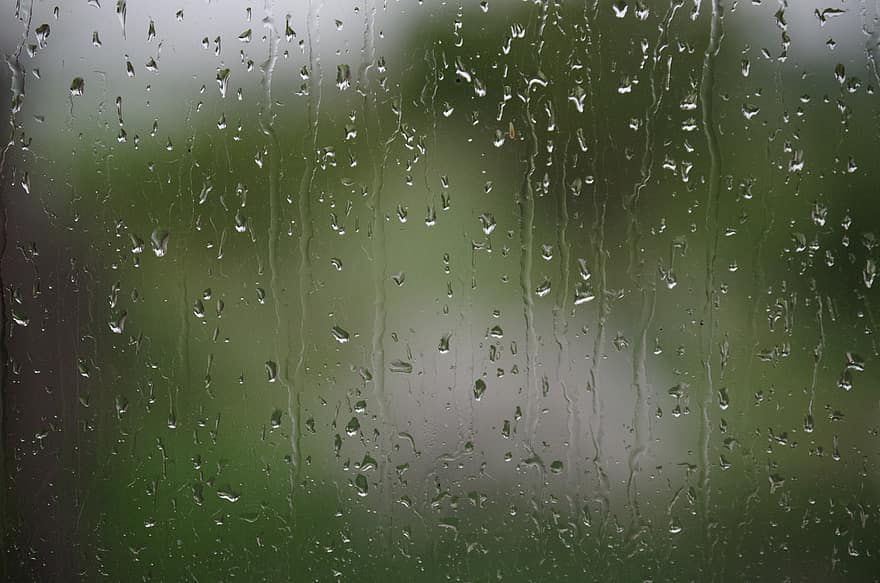 窓、雨、しずく、濡れている、緑、春