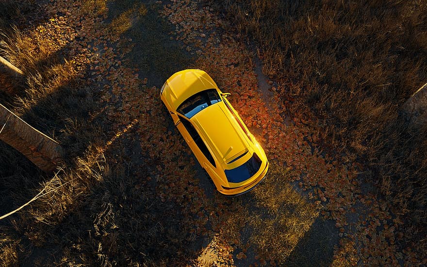 auto, Lamborghini, metsä