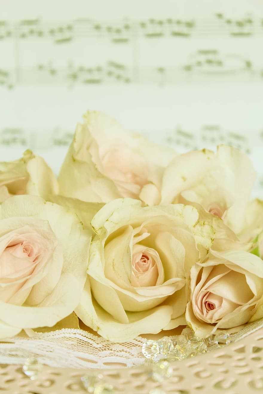 roses, música, romàntic, juganer, romanç, partitures, vell, fons, vintage