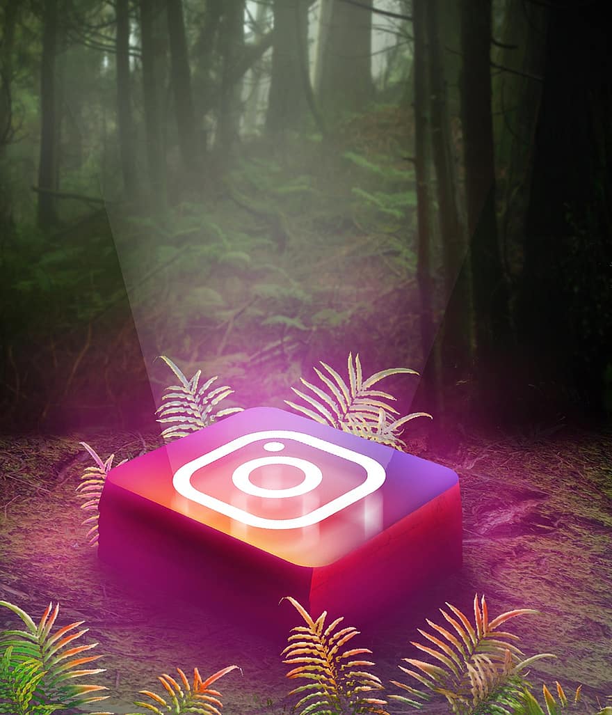 Instagram, икона, мрежа, нажежен, светлина, гора, фонове, дърво, технология, илюстрация, нощ