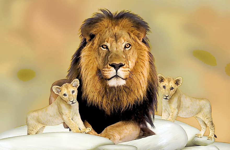 tegning, Løvefar, Lion Kids, villdyr, store katter, dyrehage