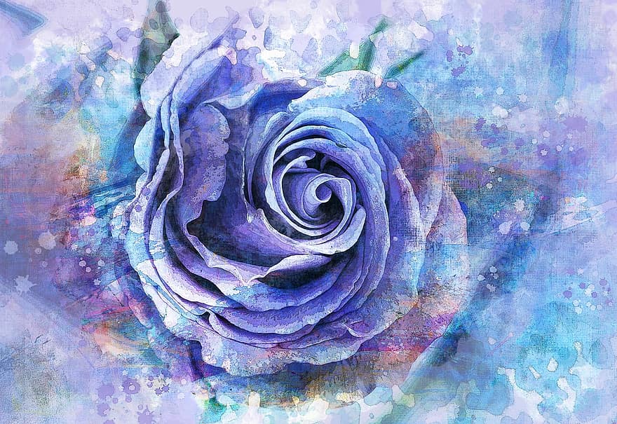 cat air, mawar, bunga, romantis, Desain, percintaan, alam, mekar, menanam, wallpaper mawar, bunga biru