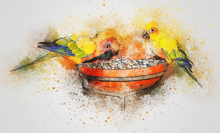 Parrot, Birds, Eating, Art, Abstract, Watercolor, Animal, Feathers, Color, Vintage, Spring