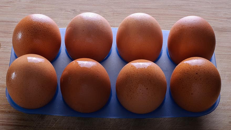 ous, menjar, safata d'ous, ous marrons, ous de pollastre, produir, orgànic, frescor, ous d’animals, primer pla, granja