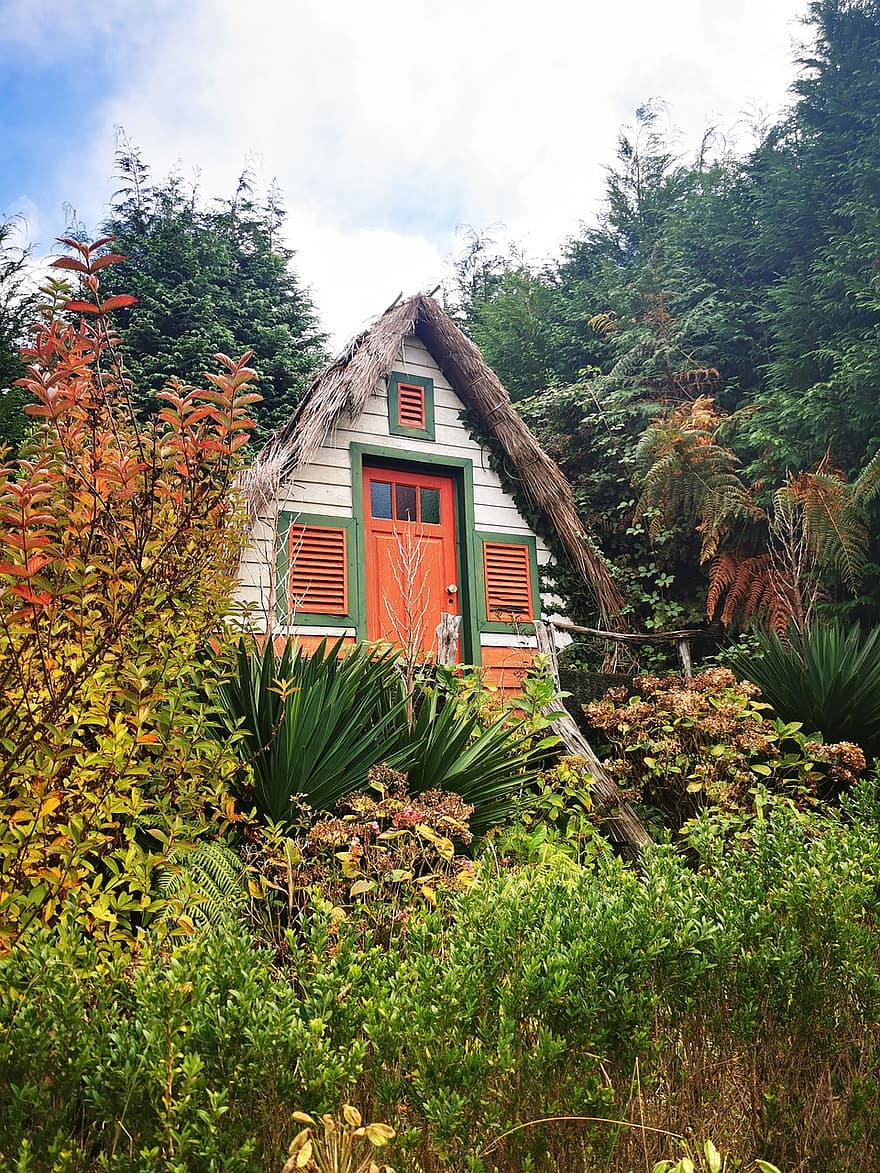 cabaña, campo, viaje, naturaleza, madera, arquitectura, escena rural, color verde, verano, árbol, ventana