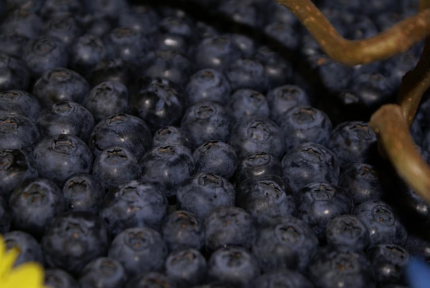blåbär, bär, mat, färsk, frukt, vitaminer, efterrätt, bukett, blå