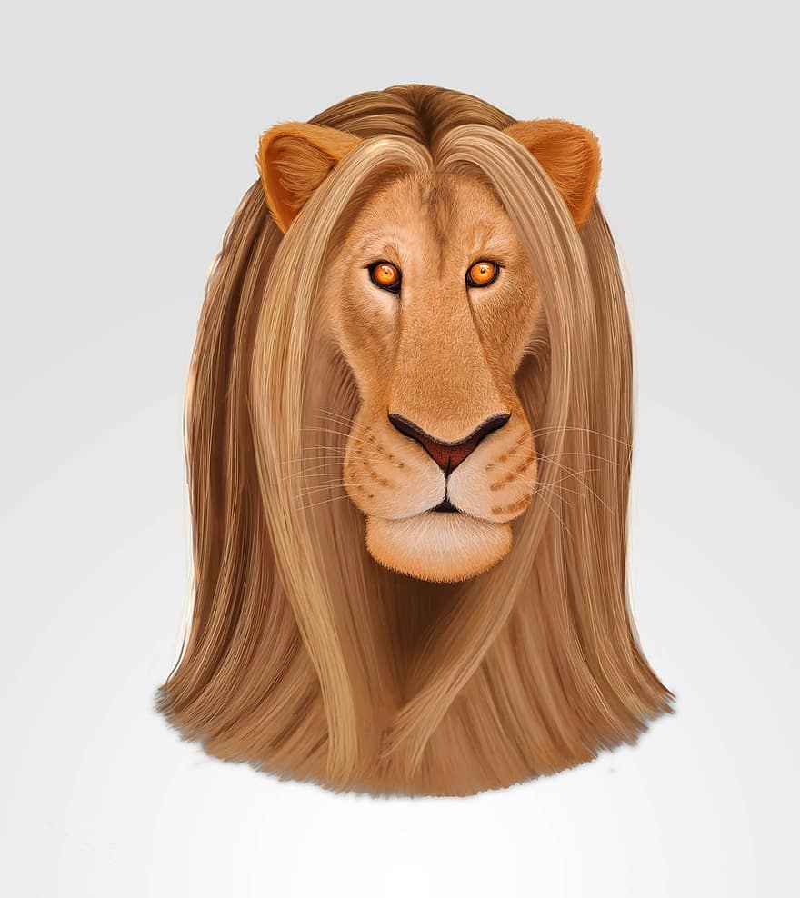 liūtas, piešimas, iliustracija, pobūdį, plaukai