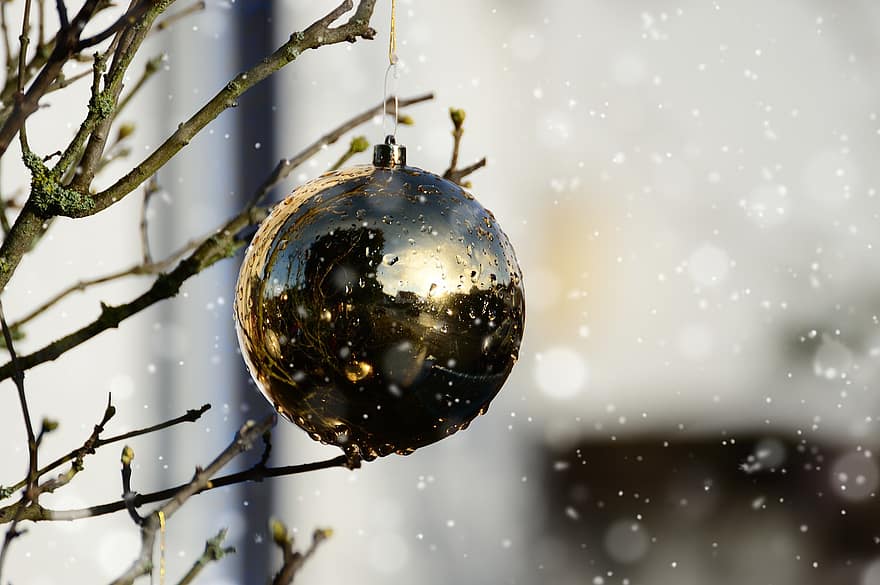 Crăciun mingea, ornament, zăpadă, fleac, Crăciun, decor, umed, agăţat, Crăciun ornament, glob de Craciun, ramură