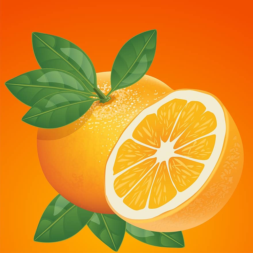 orange, frugt, sund og rask, saftig, frisk, lyse, gul, sommer, moden, skære, skiveskåret