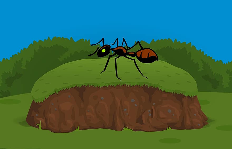 fourmi, insecte, herbe, gros, punaise, jardin, sol, la biologie, objet, ouvrier, travail