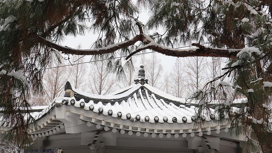 inverno, la neve, architettura cinese, foresta, architettura, tetto, albero, culture, vecchio, posto famoso, stagione