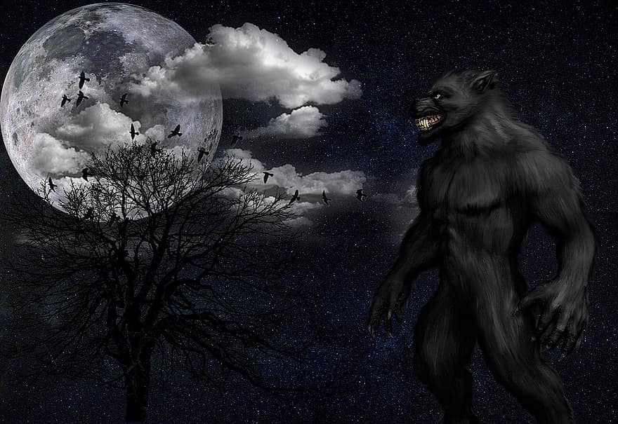 бозайник, тъмнина, природа, тайна, изкуство, Върколак, тайнствен, мистична, луна, лунна светлина
