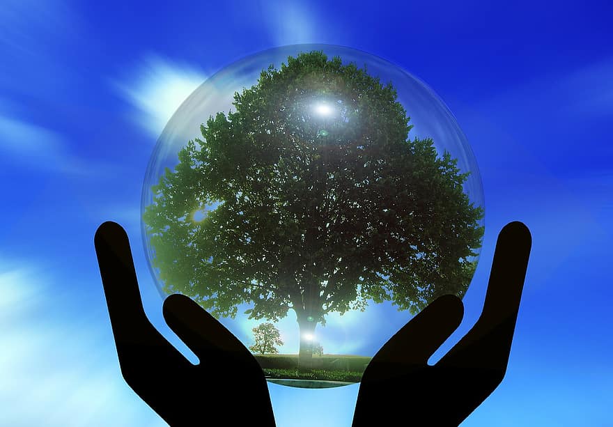 Hands, Protection, Protect, Tree, Globe, Earth, World, Globalization, Nature Conservation, Planet, Global