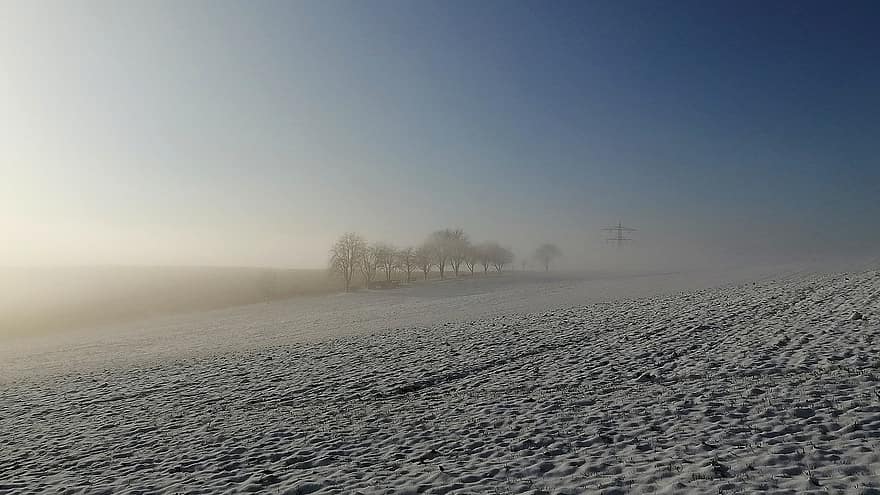 поле, сняг, мъгла, слънчева светлина, дървета, трева, мъгливо, зима, неприветлив, скреж, замръзнал