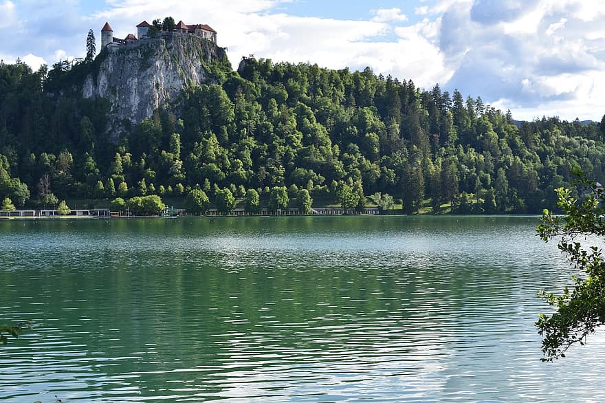 ブレッド湖、湖、スロベニア、ジュリアンアルプス、森林、森の中