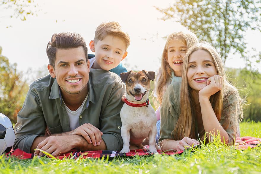 familie, portret, buiten, vader, zoon, moeder, dochter, hond, glimlachen, park, picknick