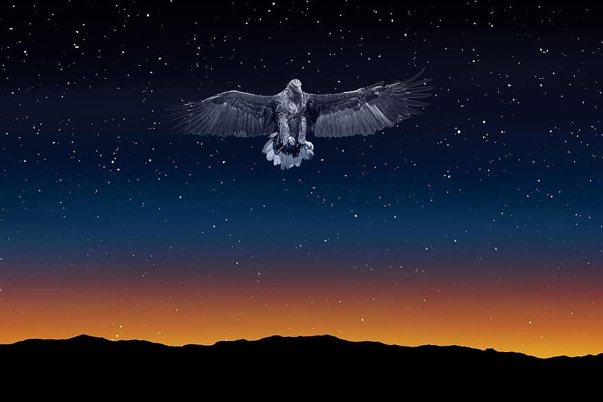 Adler, Nachthimmel, dom, beleuchtet, Nacht-, Himmel, Dämmerung