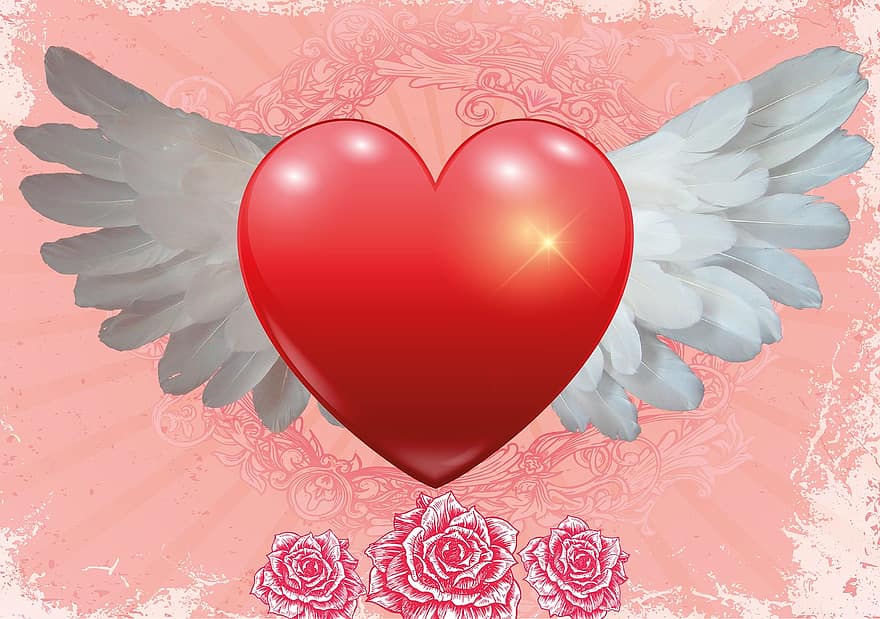 Liebe, Herz, Flügel, Feder, Valentinstag, Hintergrund, Romantik, Glück, rot, Pfirsich, Karte