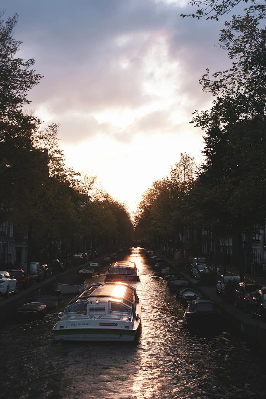 amsterdam, by, kanal, solnedgang, trær, nederland, holland, skumring, bil, natt, trafikk