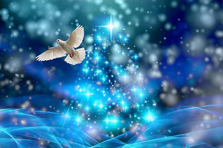 Navidad, paloma, luces, abeto, nieve, invierno, Decoración navideña, armonía, símbolo, bokeh, adviento