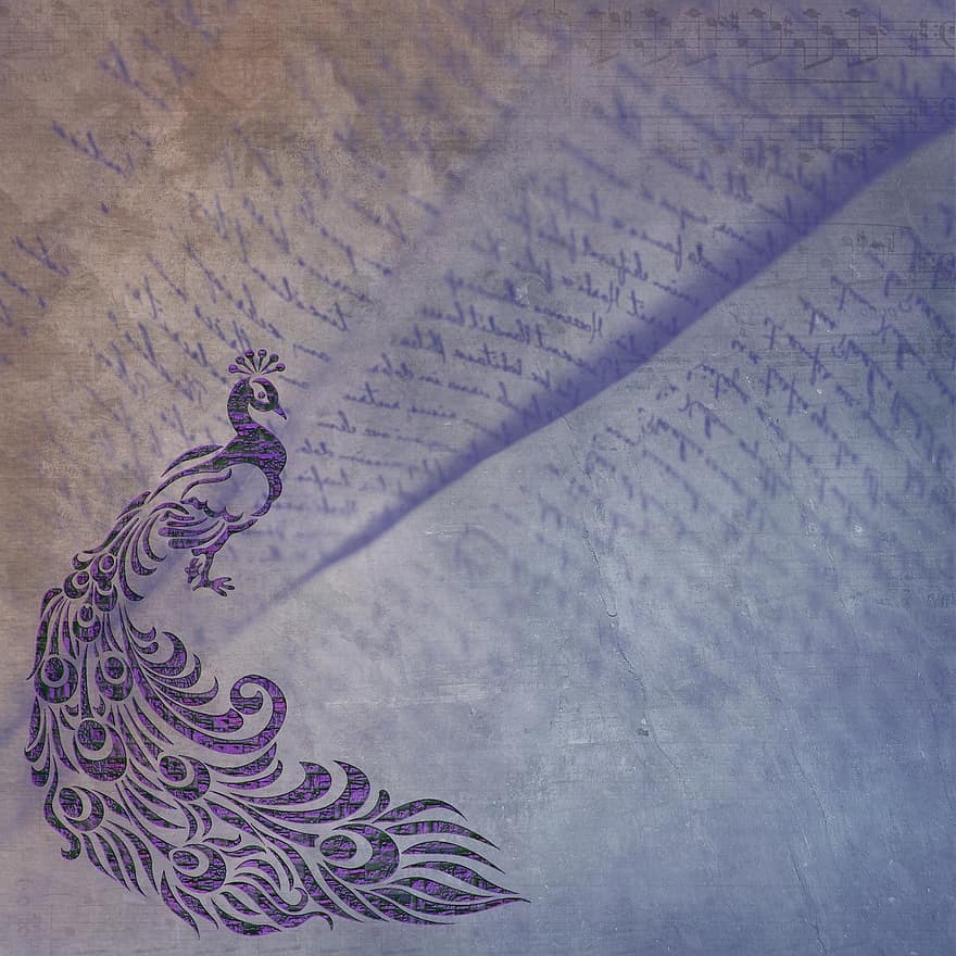 Stationery, Texture, Peacock, Bird, Background, Paper, Letters, Pattern, Font, Decor, Handwriting