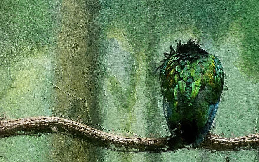 Bird, Painting, Forest, Green, Nature, feather, multi colored, animals in the wild, beak, tree, branch
