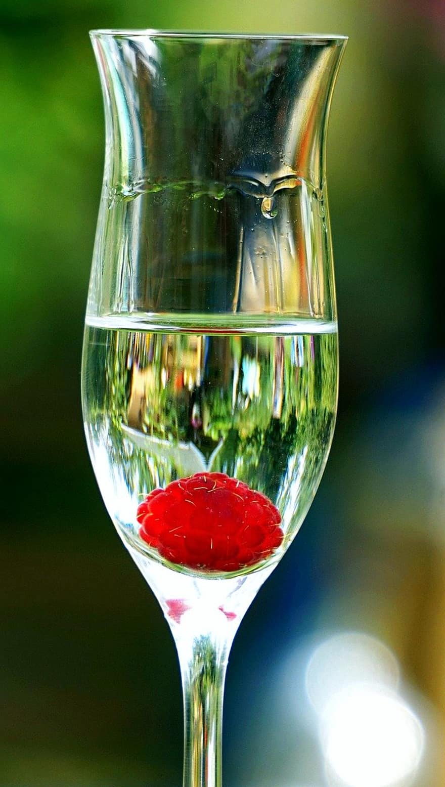 beber, vaso, aguardiente, frambuesa, espíritu, alcohol, de cerca, vino, líquido, Copa de vino, solo objeto