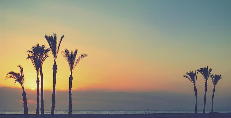 bomen, palmbomen, strand, silhouet, landschap, horizon, zonsondergang, zonsopkomst, schemer, dageraad, zon