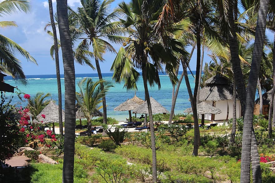 Strand, Resort, Insel, Palmen, Ozean, tropisch, Paradies, Karibik, Küste