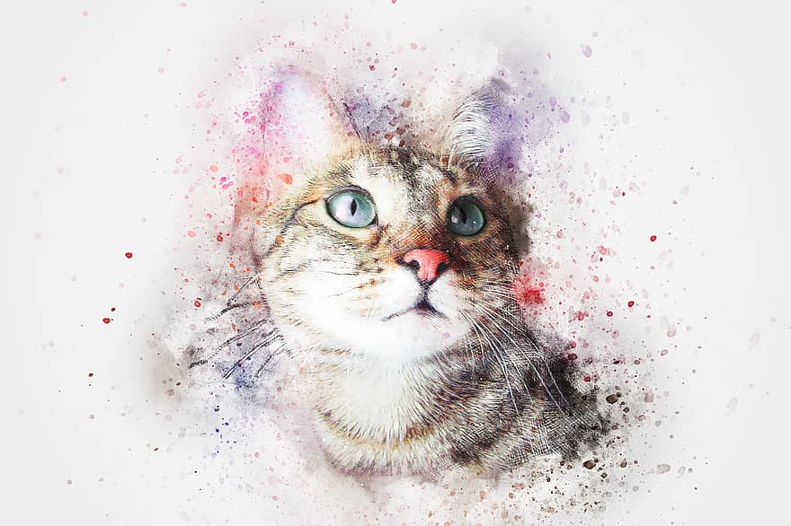 kočka, hledá, koťátko, zvíře, vodové barvy, vinobraní, Příroda, barvitý, umělecký, emoce, design