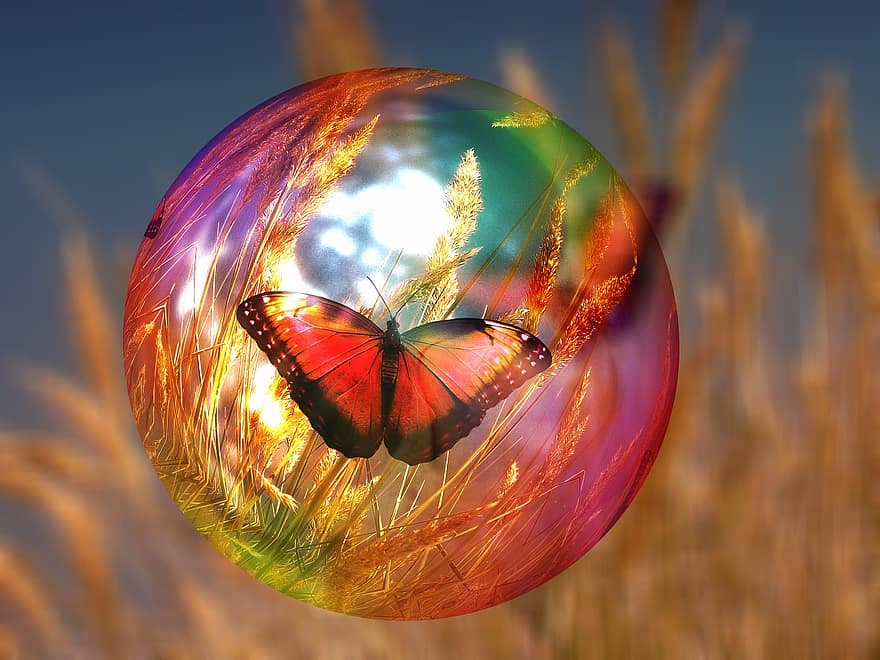 muilo burbulas, drugelis, kukurūzų laukas, šviesa, refleksai, išvirtimas